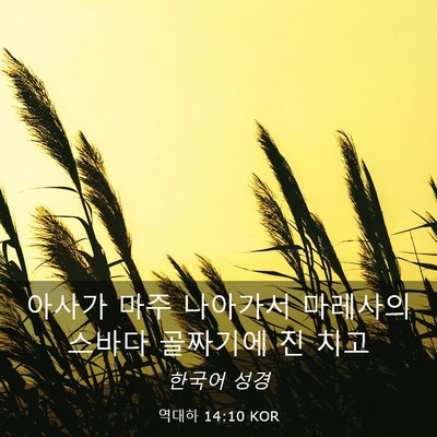 Picture 03 - 역대하 14:10 KOR - 아사가 마주 나아가서 마레사의 - Bible Verse Picture
