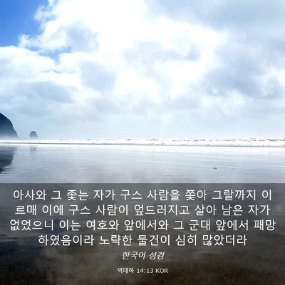 Picture 03 - 역대하 14:13 KOR - 아사와 그 좇는 자가 구스 사람을 - Bible Verse Picture