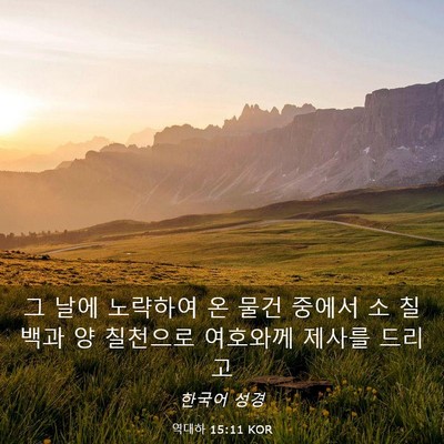 Picture 03 - 역대하 15:11 KOR - 그 날에 노략하여 온 물건 중에서 소 - Bible Verse Picture
