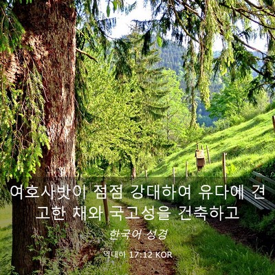 Picture 03 - 역대하 17:12 KOR - 여호사밧이 점점 강대하여 유다에 - Bible Verse Picture