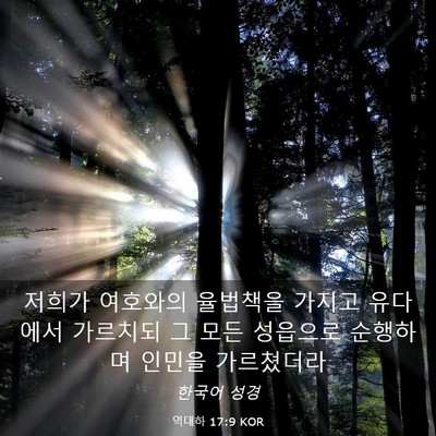 Picture 03 - 역대하 17:9 KOR - 저희가 여호와의 율법책을 가지고 - Bible Verse Picture