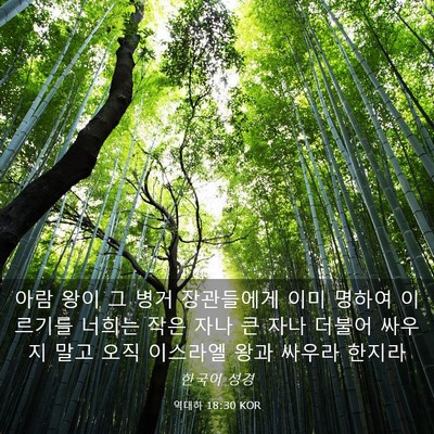 Picture 03 - 역대하 18:30 KOR - 아람 왕이 그 병거 장관들에게 이미 - Bible Verse Picture
