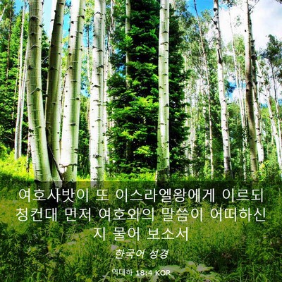 Picture 03 - 역대하 18:4 KOR - 여호사밧이 또 이스라엘왕에게 - Bible Verse Picture