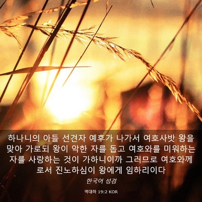 Picture 03 - 역대하 19:2 KOR - 하나니의 아들 선견자 예후가 나가서 - Bible Verse Picture