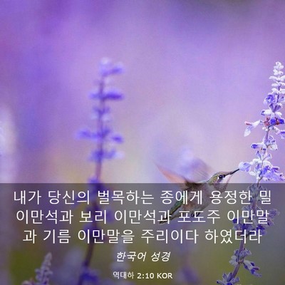 Picture 03 - 역대하 2:10 KOR - 내가 당신의 벌목하는 종에게 용정한 - Bible Verse Picture