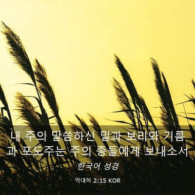 Picture 03 - 역대하 2:15 KOR - 내 주의 말씀하신 밀과 보리와 - Bible Verse Picture