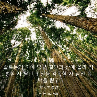 Picture 03 - 역대하 2:2 KOR - 솔로몬이 이에 담군 칠만과 산에 - Bible Verse Picture