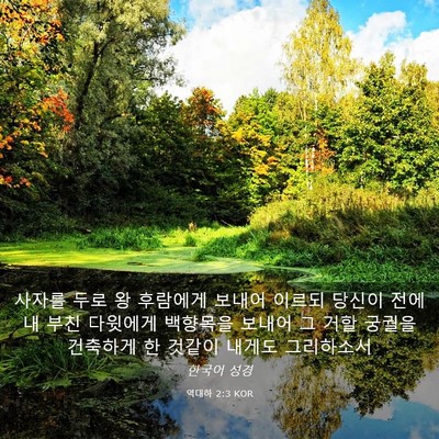 Picture 03 - 역대하 2:3 KOR - 사자를 두로 왕 후람에게 보내어 - Bible Verse Picture