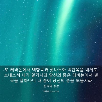Picture 03 - 역대하 2:8 KOR - 또 레바논에서 백향목과 잣나무와 - Bible Verse Picture