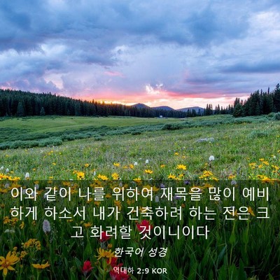 Picture 03 - 역대하 2:9 KOR - 이와 같이 나를 위하여 재목을 많이 - Bible Verse Picture
