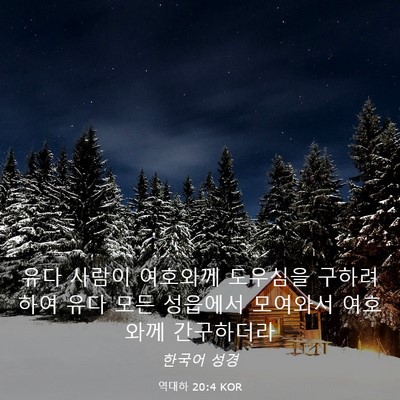 Picture 03 - 역대하 20:4 KOR - 유다 사람이 여호와께 도우심을 - Bible Verse Picture