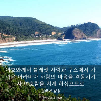 Picture 03 - 역대하 21:16 KOR - 여호와께서 블레셋 사람과 구스에서 - Bible Verse Picture