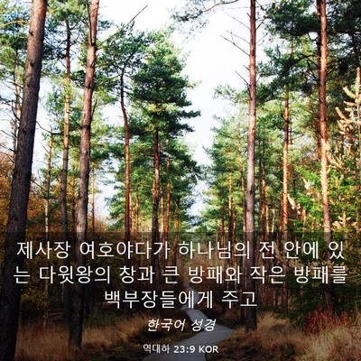 Picture 03 - 역대하 23:9 KOR - 제사장 여호야다가 하나님의 전 안에 - Bible Verse Picture