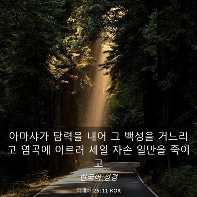Picture 03 - 역대하 25:11 KOR - 아마샤가 담력을 내어 그 백성을 - Bible Verse Picture