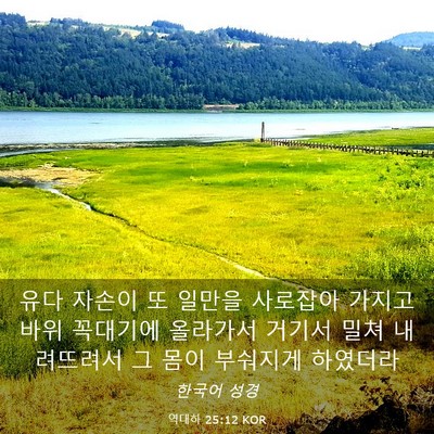 Picture 03 - 역대하 25:12 KOR - 유다 자손이 또 일만을 사로잡아 - Bible Verse Picture