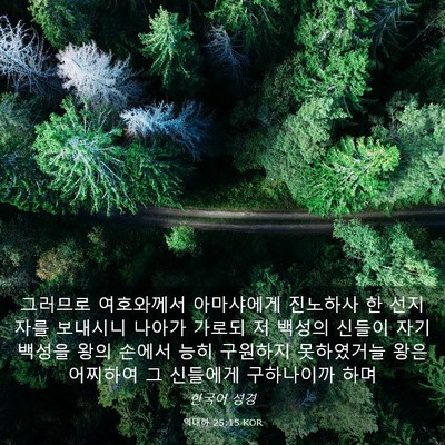 Picture 03 - 역대하 25:15 KOR - 그러므로 여호와께서 아마샤에게 - Bible Verse Picture