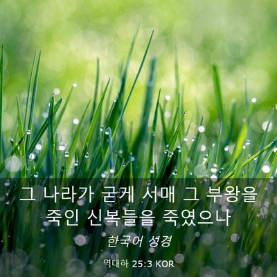 Picture 03 - 역대하 25:3 KOR - 그 나라가 굳게 서매 그 부왕을 죽인 - Bible Verse Picture