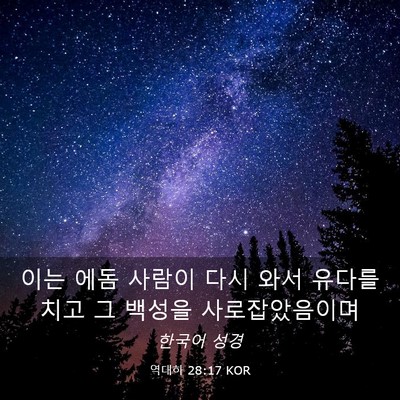 Picture 03 - 역대하 28:17 KOR - 이는 에돔 사람이 다시 와서 유다를 - Bible Verse Picture