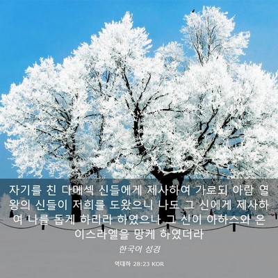 Picture 03 - 역대하 28:23 KOR - 자기를 친 다메섹 신들에게 제사하여 - Bible Verse Picture