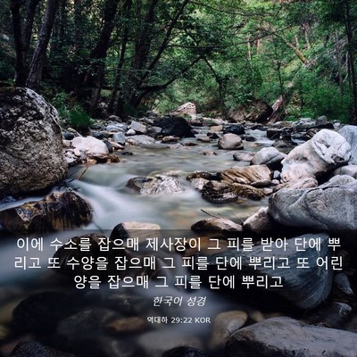 Picture 03 - 역대하 29:22 KOR - 이에 수소를 잡으매 제사장이 그 - Bible Verse Picture