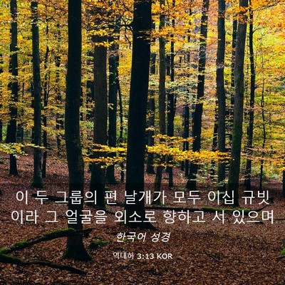 Picture 03 - 역대하 3:13 KOR - 이 두 그룹의 편 날개가 모두 이십 - Bible Verse Picture