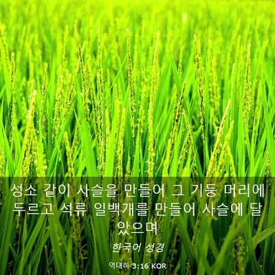 Picture 03 - 역대하 3:16 KOR - 성소 같이 사슬을 만들어 그 기둥 - Bible Verse Picture