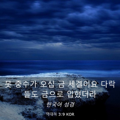 Picture 03 - 역대하 3:9 KOR - 못 중수가 오십 금 세겔이요 - Bible Verse Picture
