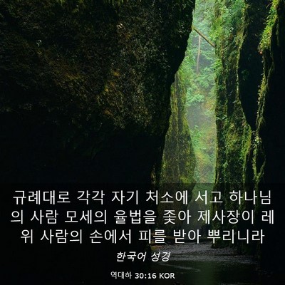 Picture 03 - 역대하 30:16 KOR - 규례대로 각각 자기 처소에 서고 - Bible Verse Picture
