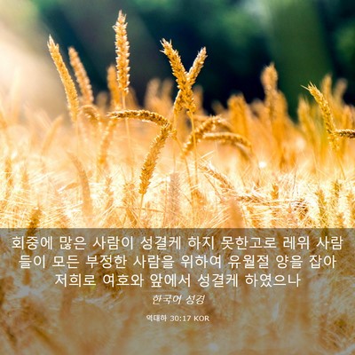 Picture 03 - 역대하 30:17 KOR - 회중에 많은 사람이 성결케 하지 - Bible Verse Picture