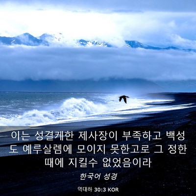 Picture 03 - 역대하 30:3 KOR - 이는 성결케한 제사장이 부족하고 - Bible Verse Picture