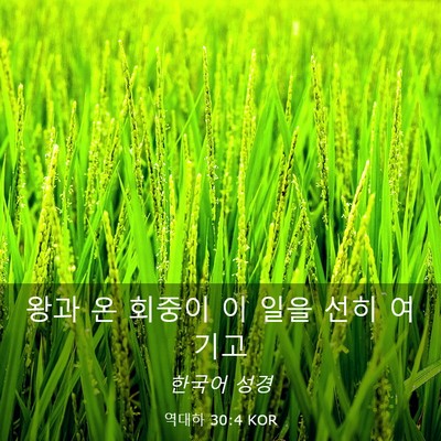 Picture 03 - 역대하 30:4 KOR - 왕과 온 회중이 이 일을 선히 - Bible Verse Picture