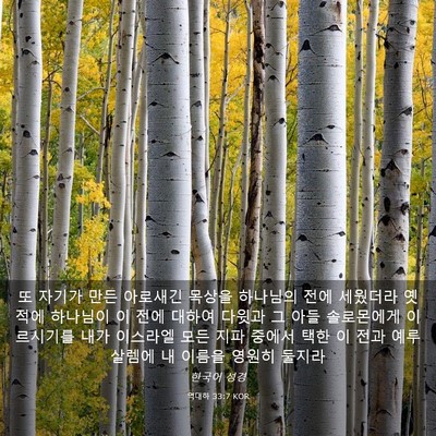 Picture 03 - 역대하 33:7 KOR - 또 자기가 만든 아로새긴 목상을 - Bible Verse Picture