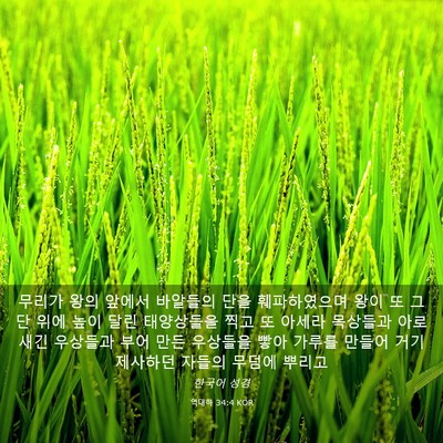 Picture 03 - 역대하 34:4 KOR - 무리가 왕의 앞에서 바알들의 단을 - Bible Verse Picture