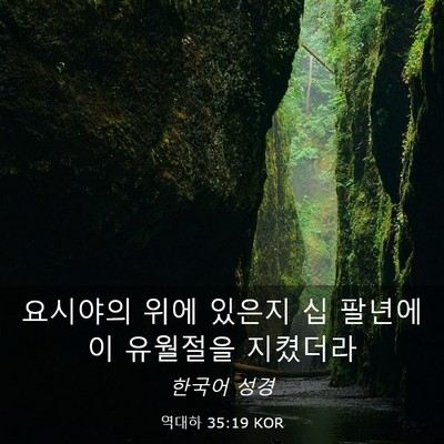 Picture 03 - 역대하 35:19 KOR - 요시야의 위에 있은지 십 팔년에 이 - Bible Verse Picture