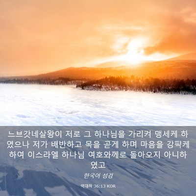 Picture 03 - 역대하 36:13 KOR - 느브갓네살왕이 저로 그 하나님을 - Bible Verse Picture