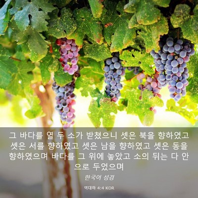 Picture 03 - 역대하 4:4 KOR - 그 바다를 열 두 소가 받쳤으니 셋은 - Bible Verse Picture