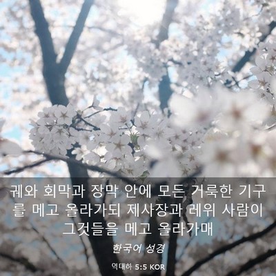 Picture 03 - 역대하 5:5 KOR - 궤와 회막과 장막 안에 모든 거룩한 - Bible Verse Picture