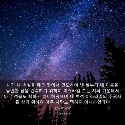 Picture 03 - 역대하 6:5 KOR - 내가 내 백성을 애굽 땅에서 - Bible Verse Picture