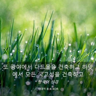Picture 03 - 역대하 8:4 KOR - 또 광야에서 다드몰을 건축하고 - Bible Verse Picture