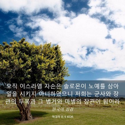 Picture 03 - 역대하 8:9 KOR - 오직 이스라엘 자손은 솔로몬이 - Bible Verse Picture