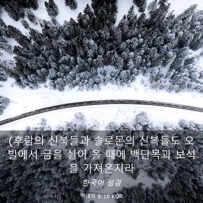 Picture 03 - 역대하 9:10 KOR - (후람의 신복들과 솔로몬의 신복들도 - Bible Verse Picture