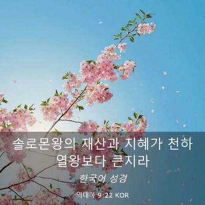 Picture 03 - 역대하 9:22 KOR - 솔로몬왕의 재산과 지혜가 천하 - Bible Verse Picture