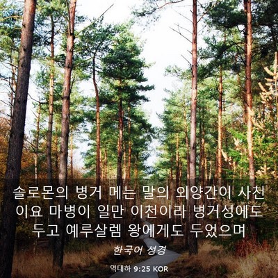 Picture 03 - 역대하 9:25 KOR - 솔로몬의 병거 메는 말의 외양간이 - Bible Verse Picture