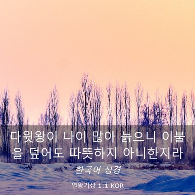 Picture 03 - 열왕기상 1:1 KOR - 다윗왕이 나이 많아 늙으니 이불을 - Bible Verse Picture