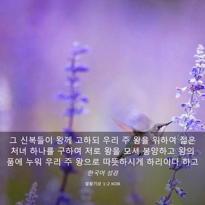 Picture 03 - 열왕기상 1:2 KOR - 그 신복들이 왕께 고하되 우리 주 - Bible Verse Picture