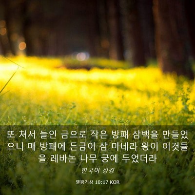 Picture 03 - 열왕기상 10:17 KOR - 또 쳐서 늘인 금으로 작은 방패 - Bible Verse Picture
