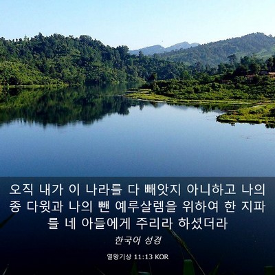 Picture 03 - 열왕기상 11:13 KOR - 오직 내가 이 나라를 다 빼앗지 - Bible Verse Picture