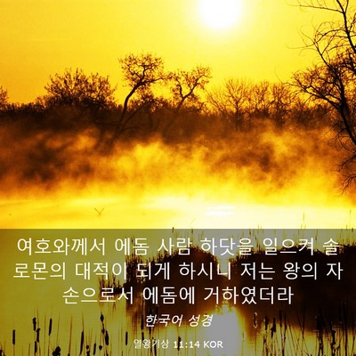 Picture 03 - 열왕기상 11:14 KOR - 여호와께서 에돔 사람 하닷을 일으켜 - Bible Verse Picture
