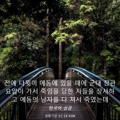 Picture 03 - 열왕기상 11:15 KOR - 전에 다윗이 에돔에 있을 때에 군대 - Bible Verse Picture