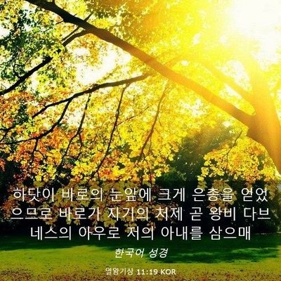Picture 03 - 열왕기상 11:19 KOR - 하닷이 바로의 눈앞에 크게 은총을 - Bible Verse Picture
